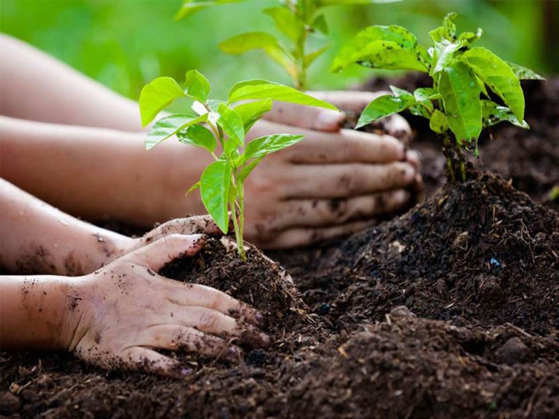 Compensação Ambiental