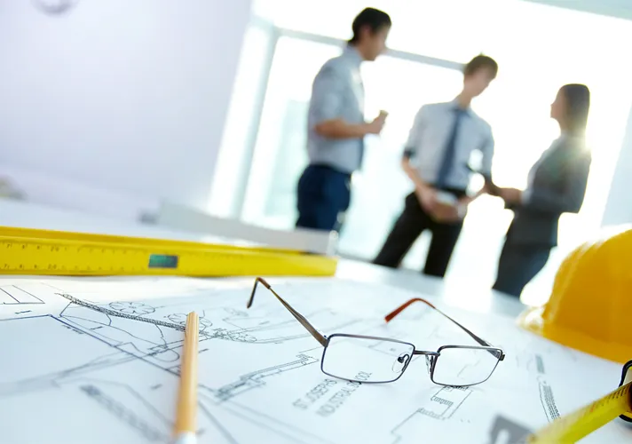 Imagem Ilustrando Resiliência Florestal