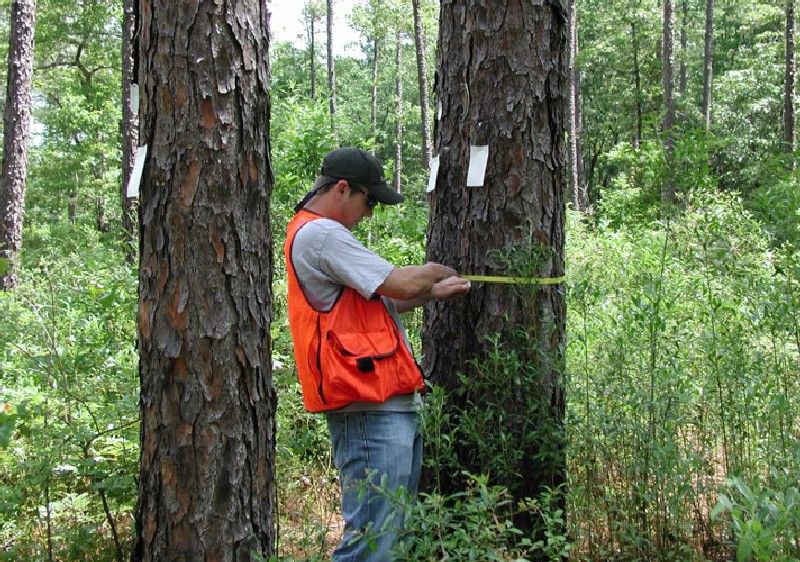 TAC Licença Ambiental