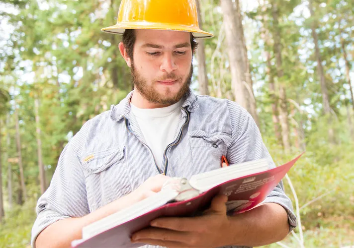 Imagem Ilustrando Resiliência Florestal